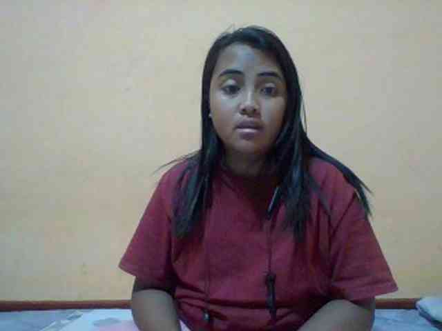 SunsetMonica webcam