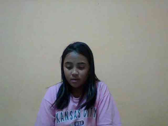 SunsetMonica webcam