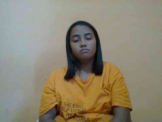 SunsetMonica webcam