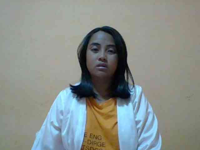 SunsetMonica webcam