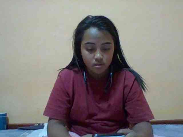 SunsetMonica webcam