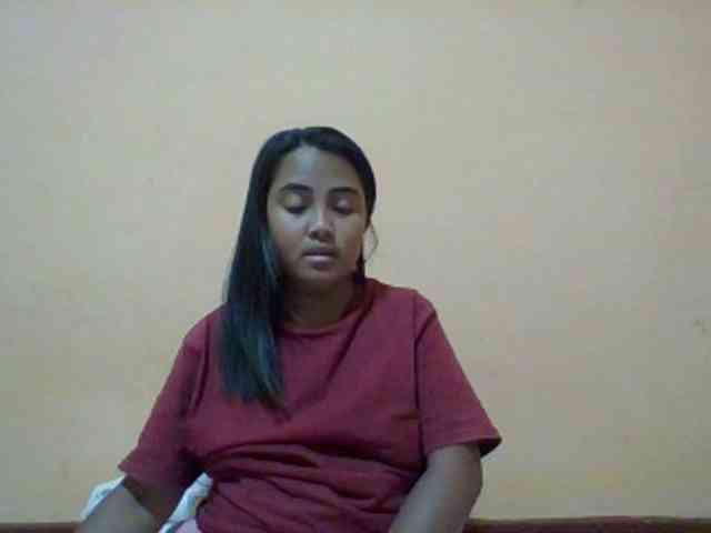 SunsetMonica webcam