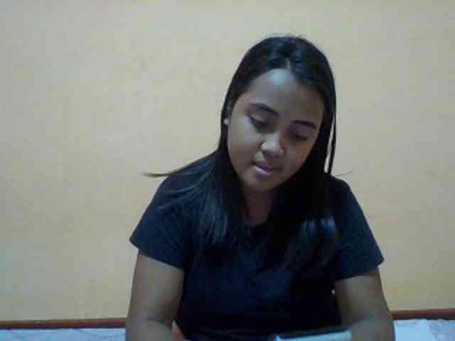 SunsetMonica webcam
