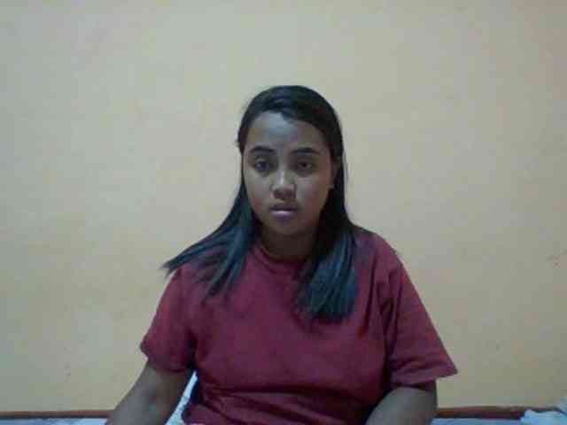 SunsetMonica webcam