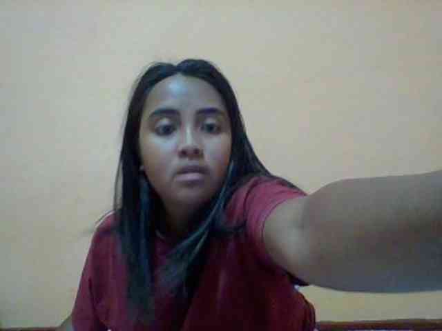 SunsetMonica webcam
