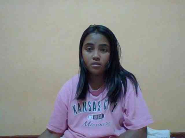 SunsetMonica webcam