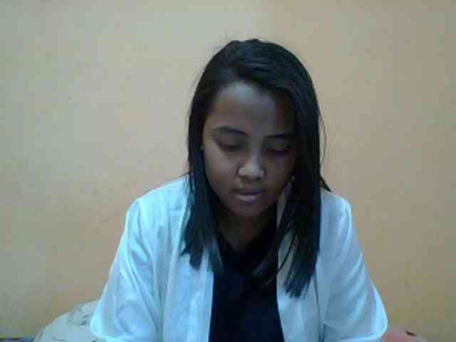 SunsetMonica webcam