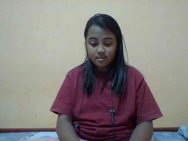 SunsetMonica webcam