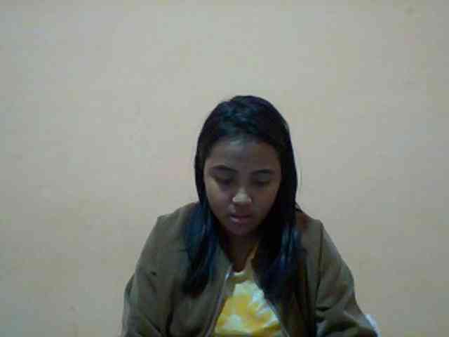 SunsetMonica webcam