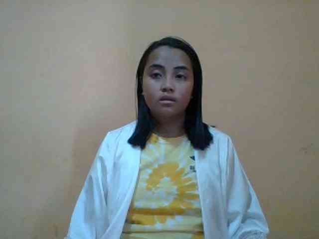 SunsetMonica webcam