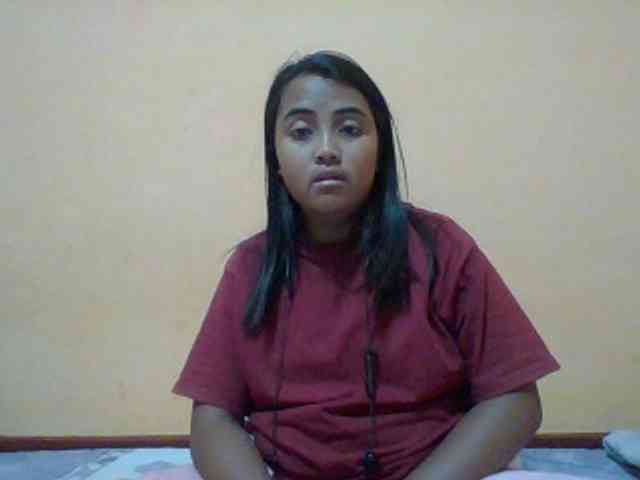 SunsetMonica webcam