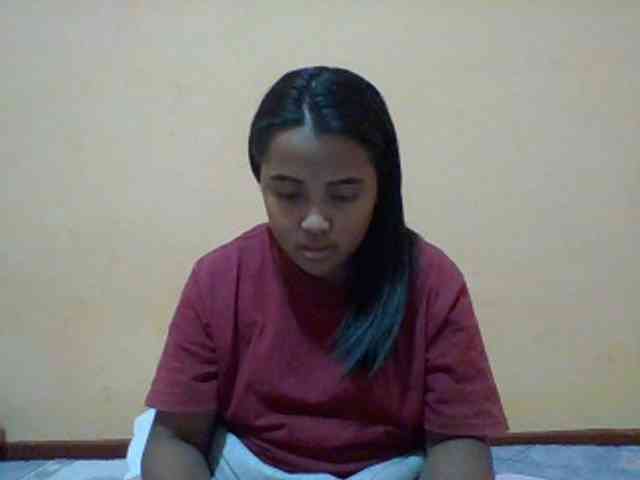 SunsetMonica webcam
