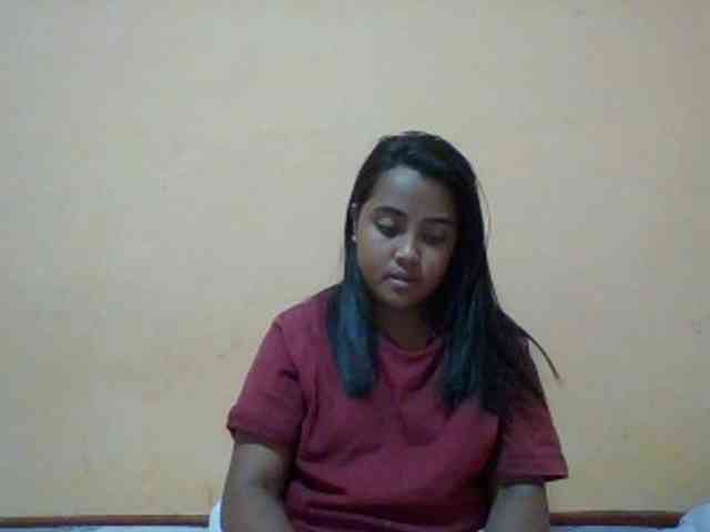 SunsetMonica webcam