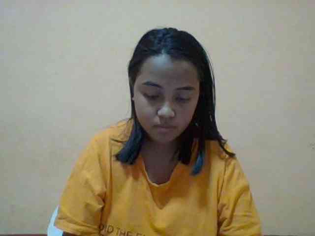 SunsetMonica webcam