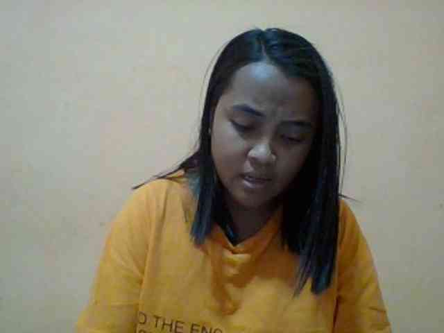 SunsetMonica webcam
