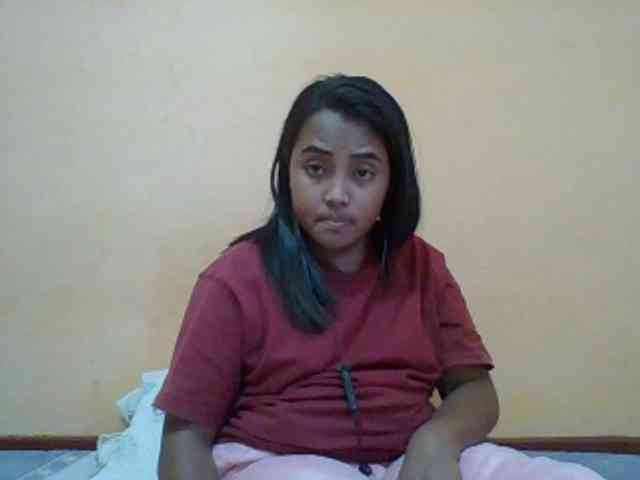 SunsetMonica webcam