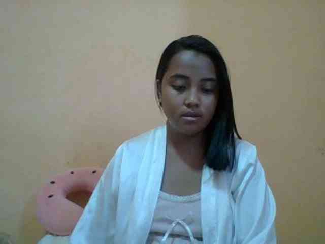 SunsetMonica webcam
