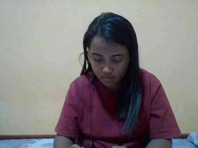 SunsetMonica webcam