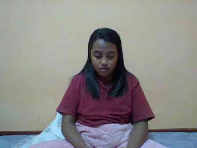 SunsetMonica webcam