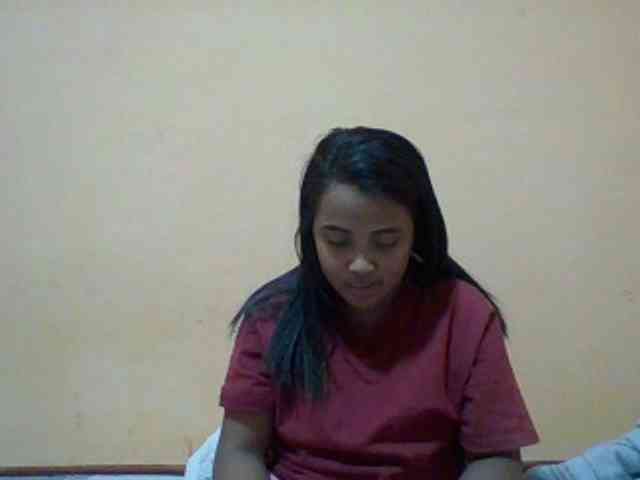 SunsetMonica webcam