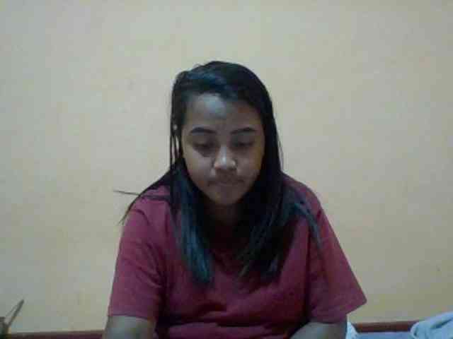 SunsetMonica webcam