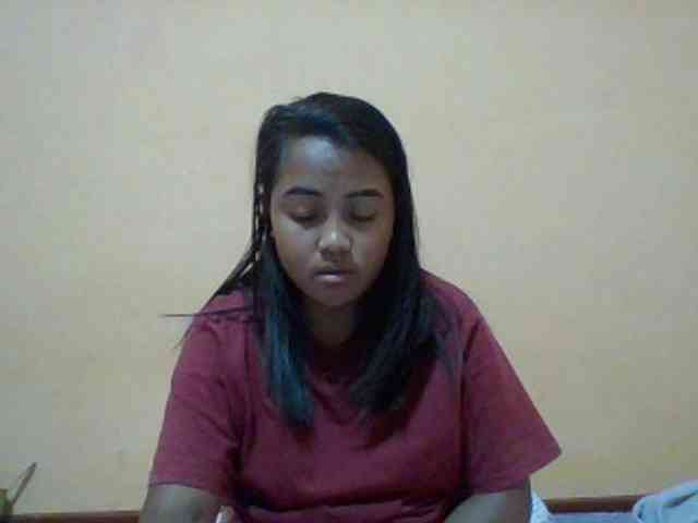 SunsetMonica webcam