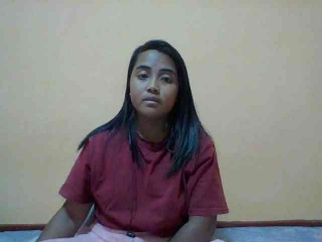 SunsetMonica webcam