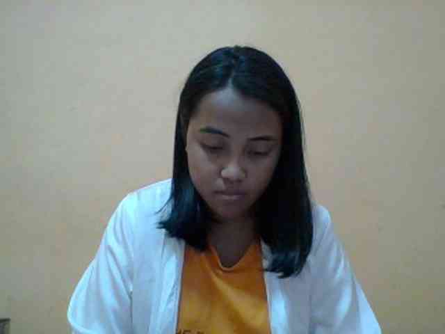 SunsetMonica webcam