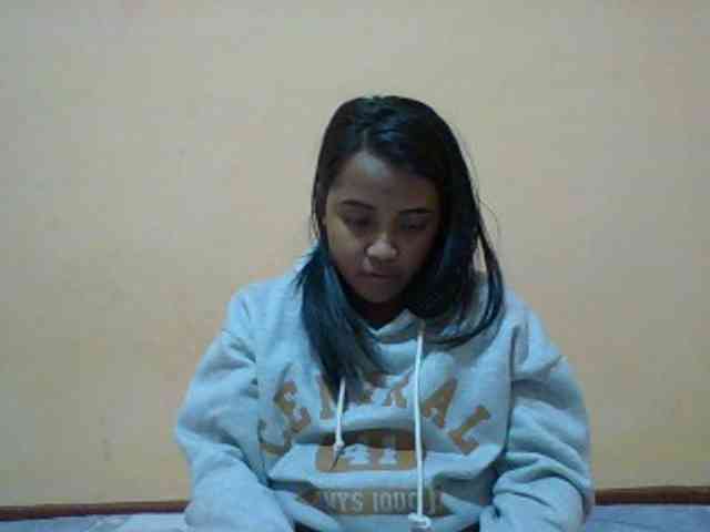 SunsetMonica webcam