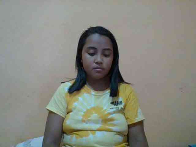 SunsetMonica webcam