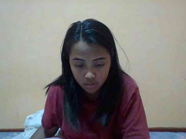 SunsetMonica webcam