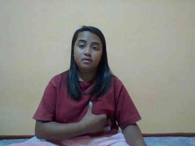 SunsetMonica webcam