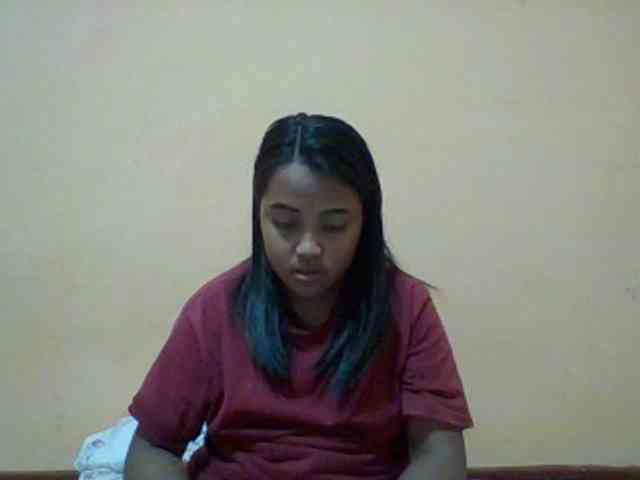 SunsetMonica webcam