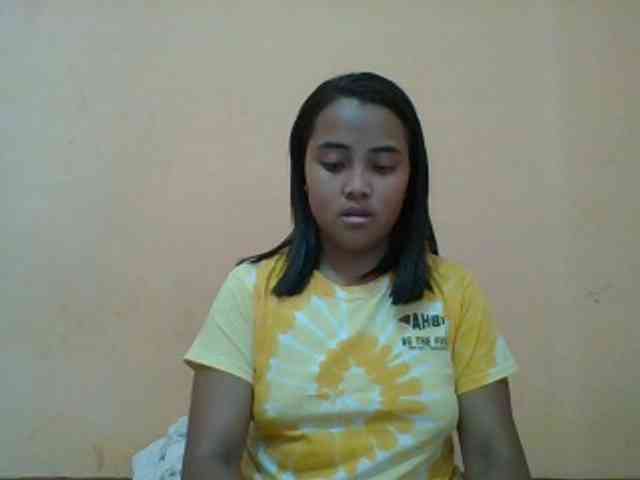 SunsetMonica webcam