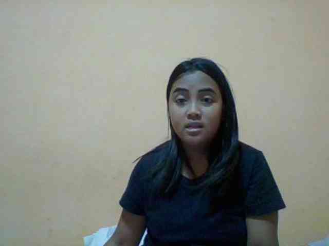 SunsetMonica webcam