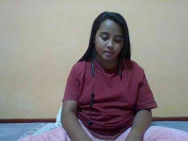 SunsetMonica webcam