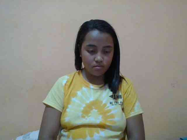 SunsetMonica webcam