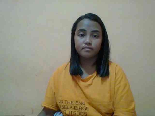 SunsetMonica webcam