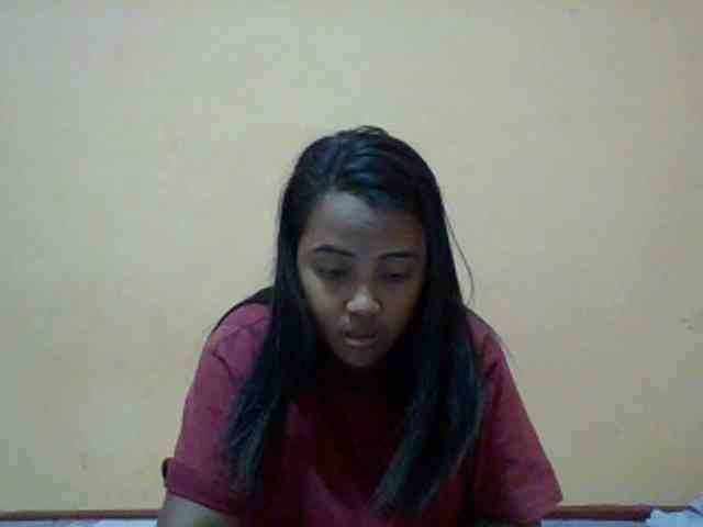 SunsetMonica webcam