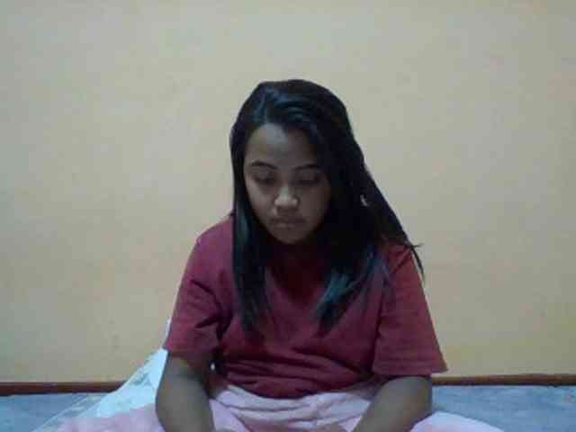 SunsetMonica webcam