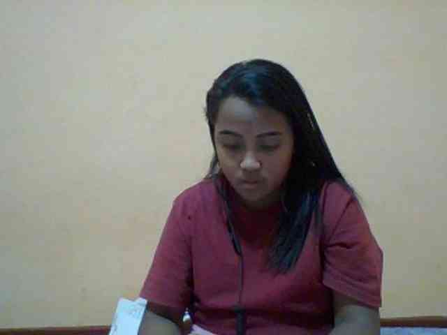 SunsetMonica webcam
