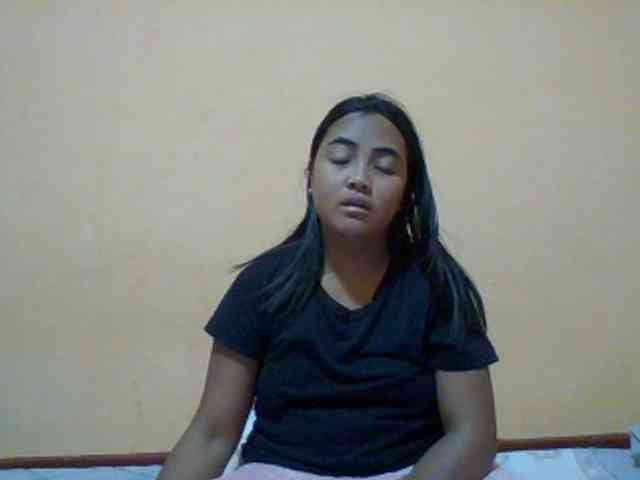 SunsetMonica webcam