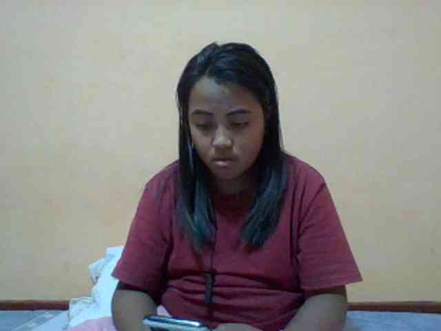 SunsetMonica webcam