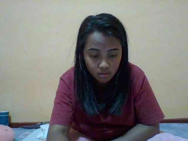 SunsetMonica webcam