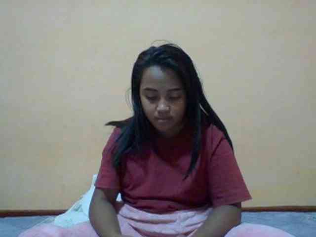 SunsetMonica webcam
