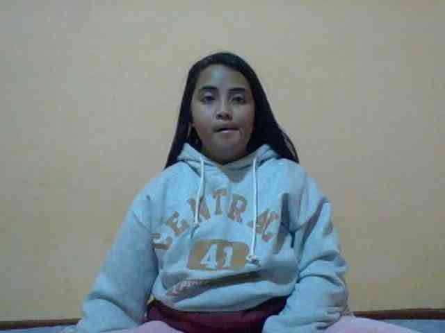 SunsetMonica webcam