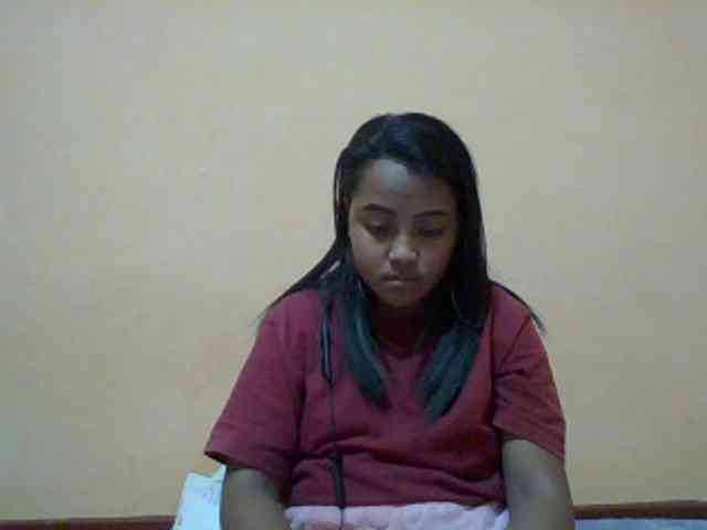 SunsetMonica webcam