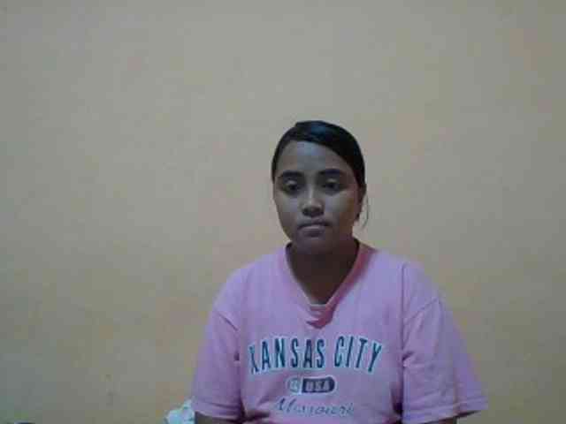 SunsetMonica webcam