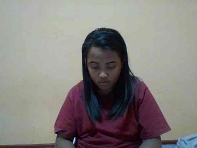 SunsetMonica webcam