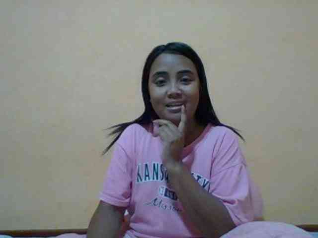 SunsetMonica webcam